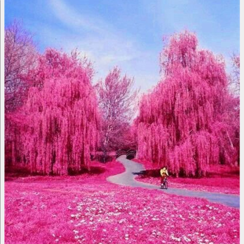 Meet your Posher, Pooja